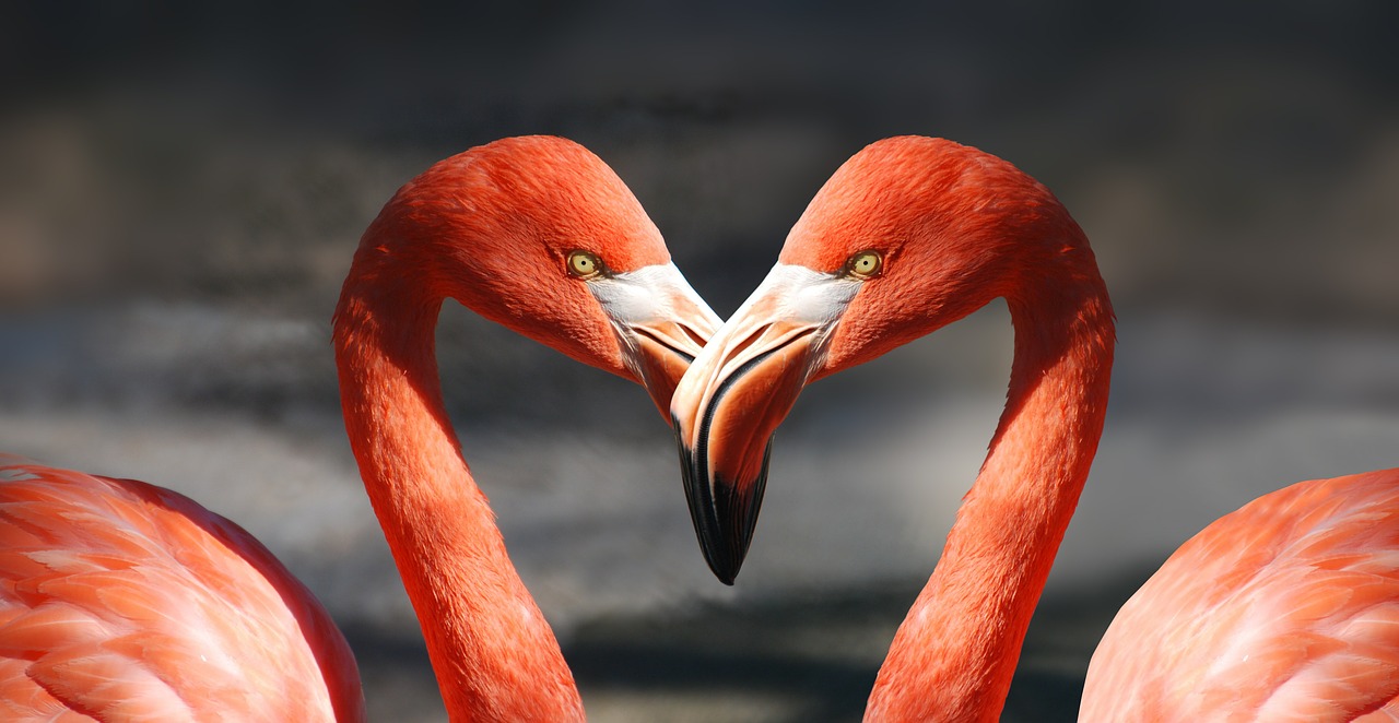 Dear Therapist: Let's Talk About Love, and Hate (Part 1)